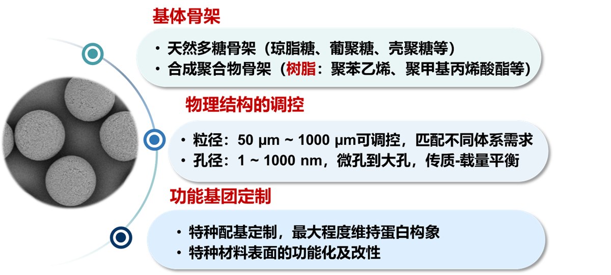 载体设计三要素：基体骨架、物理结构调控、功能基团定制